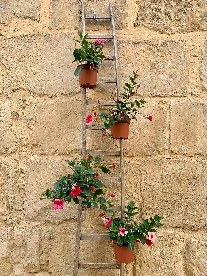 *** Bed & Breakfast Bianko Ecochic Italy